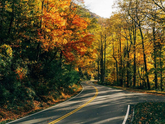Plan Your Fall Foliage Journey on Tennessee's Beautiful Byways
